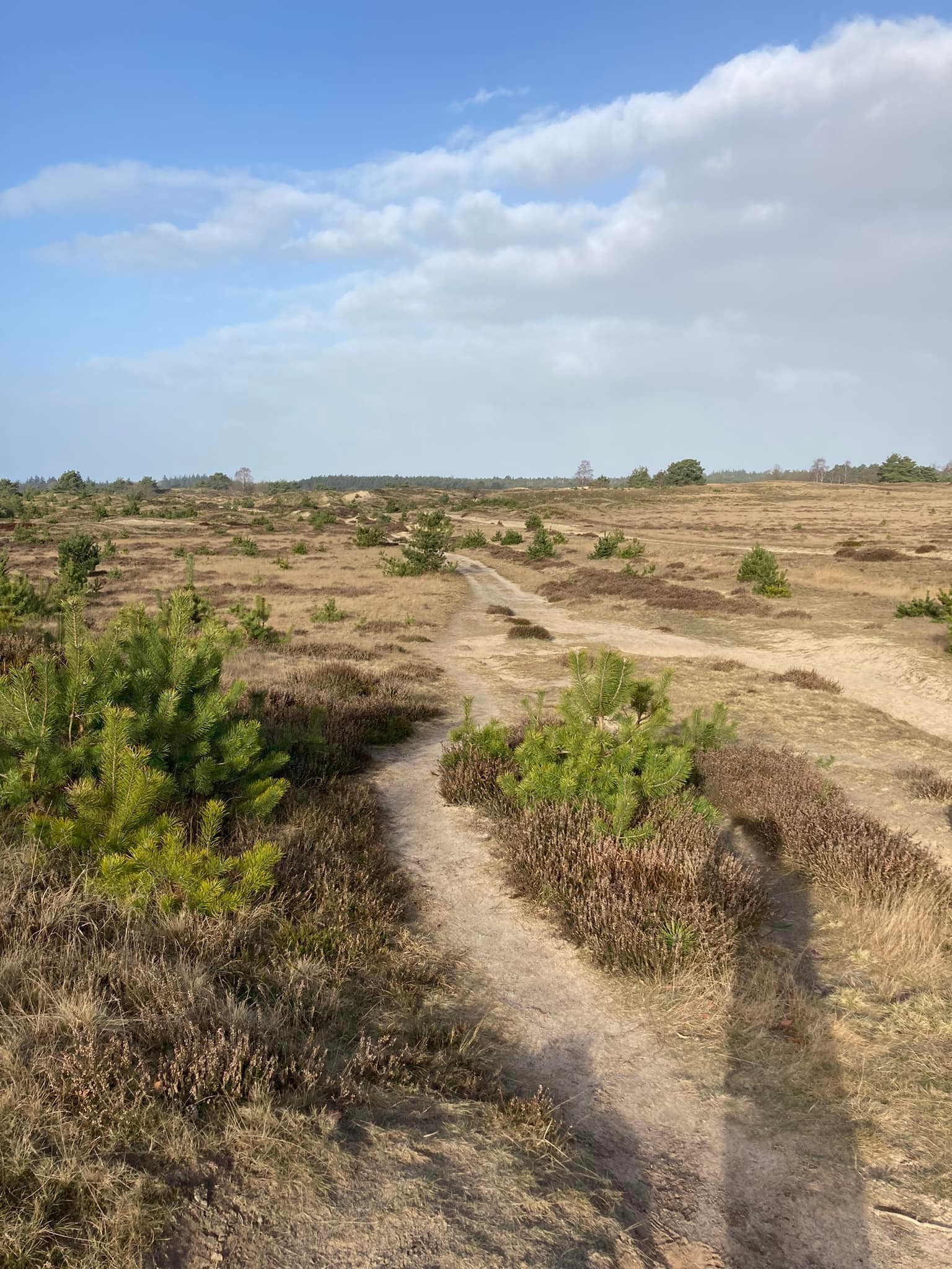 Uitslagen | Verhoeve Groen Cross 30/01/2022 - Sportvereniging Friesland